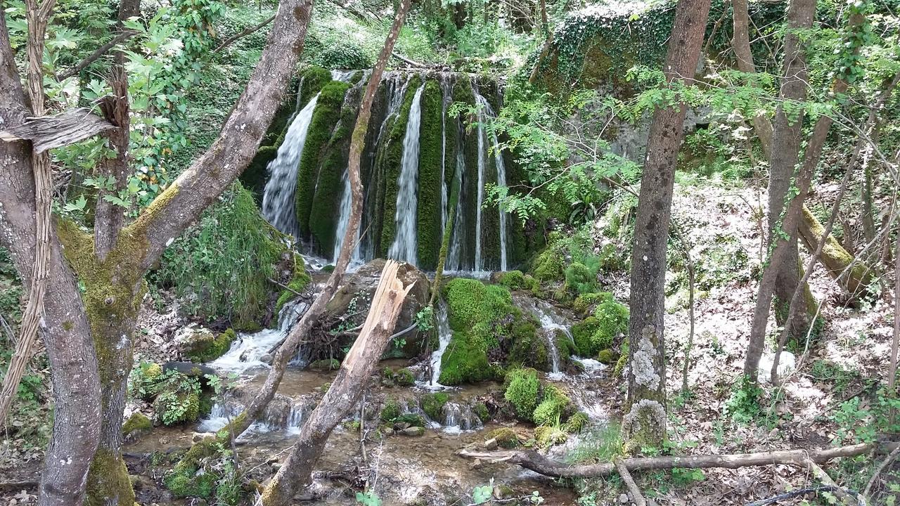 Kedros Chalet Agios Dimitrios  Dış mekan fotoğraf