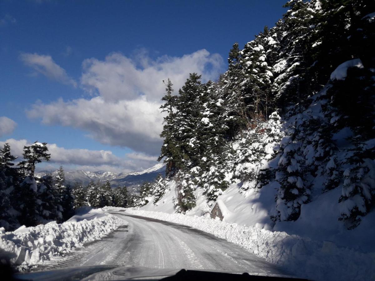 Kedros Chalet Agios Dimitrios  Dış mekan fotoğraf