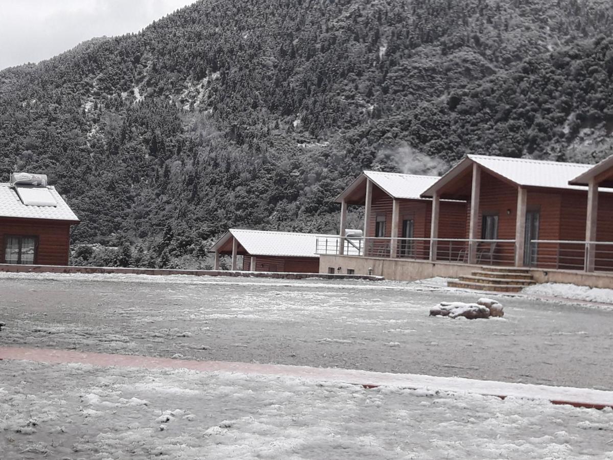 Kedros Chalet Agios Dimitrios  Dış mekan fotoğraf