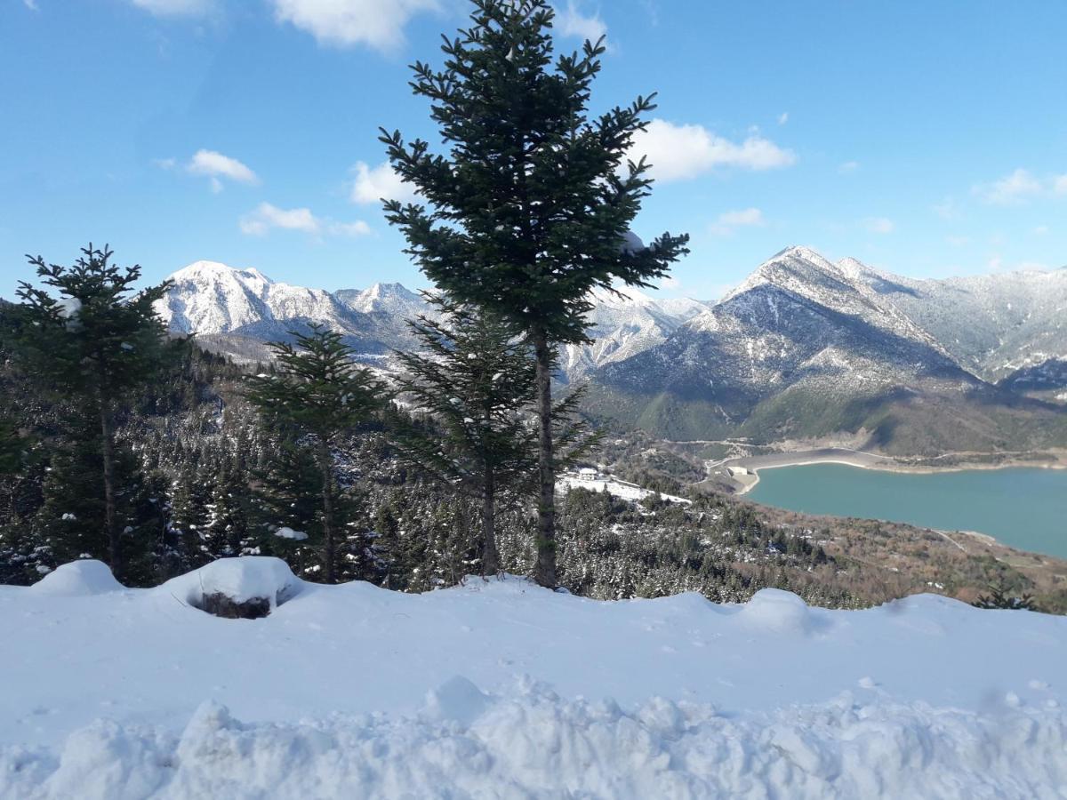 Kedros Chalet Agios Dimitrios  Dış mekan fotoğraf