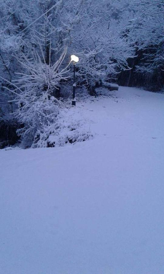 Kedros Chalet Agios Dimitrios  Dış mekan fotoğraf
